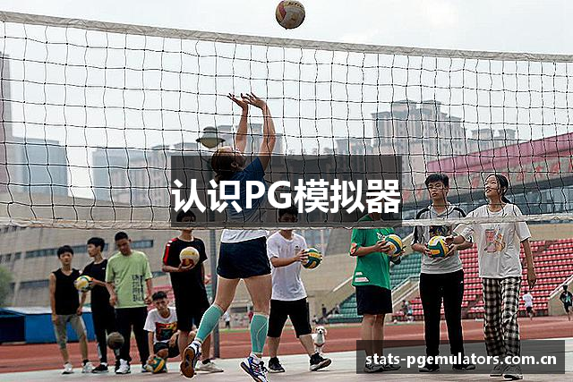 认识PG模拟器